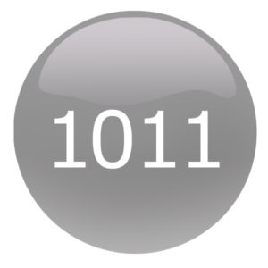 Nutri color crème 270ml(1011/Argent Intense)