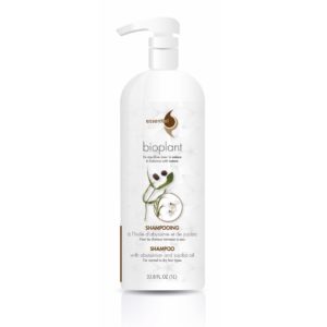 Shampoing à l'huile d'abyssinie et de jojoba 1L(cheveux normaux à secs)
