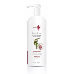 Shampoing à l'huile d'eucalyptus 1L(cheveux normaux à gras)